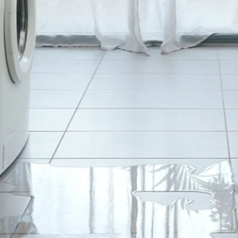 Appliance Leak Cleanup in Jackson County, WI