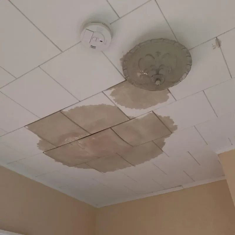 Ceiling Water Damage Repair in Jackson County, WI
