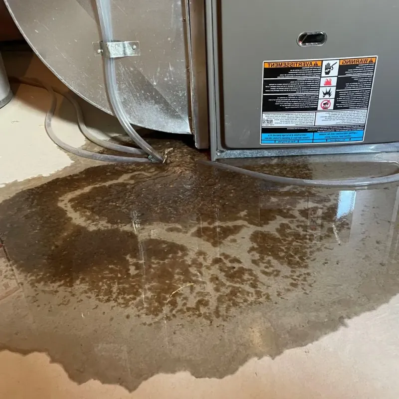 Pipe Burst and Leak Restoration in Jackson County, WI
